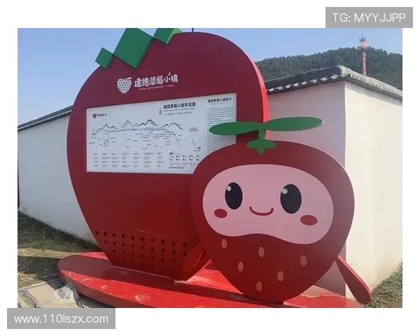 体育旅游线路中足球主题小镇的投资回报率